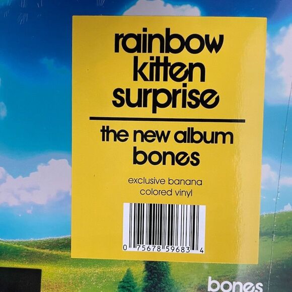 Rainbow Kitten Surprise – bones – Limited Banana Colored Vinyl, Atlantic, 2025 - Picture 2 of 3